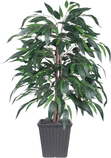 Picture of Vickerman 4' Artificial Mango Bush, Comes in a Decorative Gray Square Plastic Basket