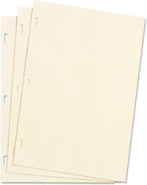 Picture of Wilson Jones, 901-30, Looseleaf Minute Book Ledger Sheets, Ivory Linen, 14 x 8-1/2, 100 Sheet/Box, Sold As 2 Boxes
