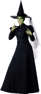 Picture of Witch Costume - Medium - Dress Size 6-10