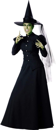 Picture of Witch Costume - Medium - Dress Size 6-10