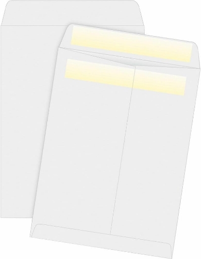 Picture of ENVELOPE;CATLG;SELFSL;10X13