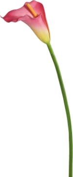 Picture of 28" Pink Calla Lily Large Stem
