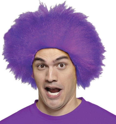 Picture of PURPLE WIG MR179535