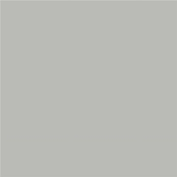 Picture of SAMPLIZE BMHC169 Samplize Benjamin Moore Coventry Gray Peel & Stick Color Sample HC-169 (PK-8-EA)