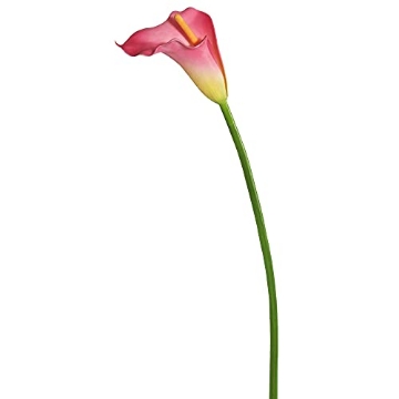 Picture of Vickerman FK171404 Vickerman 28" Artificial Pink Large Stem Calla Lily (EA)