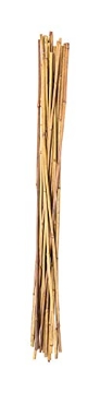 Picture of PANACEA PRODUCTS 89783 BAMBOO STAKE 36" 24PK (PK-36-EA)