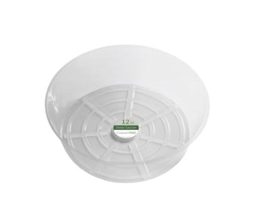 Picture of CRESCENT GARDEN BV120D00C PLANT SAUCER CLEAR 12" (PK-50-EA)