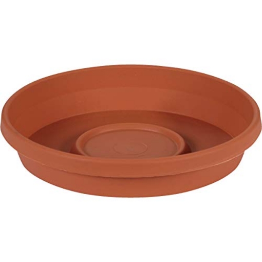 Picture of Bloem, Lcc. 51016C Bloem Terratray 2.7 in. H Resin Traditional Terracotta Clay Tray (EA)