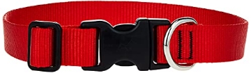 Picture of Lupine Collars & Leads 22552 LupinePet Basics 1" Red 12-20" Adjustable Collar for Medium and Larger Dogs (EA)