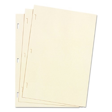 Picture of WILSONJONE W901-30 WLJ90130 - Wilson Jones 901-30 Looseleaf Minute Book Ledger Sheet (BX-100-EA)