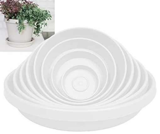 Picture of Bloem, Lcc. STT0883 Bloem Terratray 1.5 in. H x 8 in. Dia. Resin Traditional Pepperstone Tray (EA)