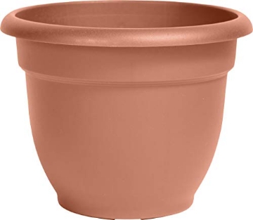 Picture of Bloem, Lcc. 20-56106 Bloem 20-56106 Ariana Plastic Planter with Self Watering Disk, Terra Cotta, 6" (EA)
