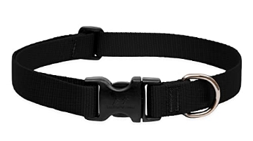 Picture of Lupine Collars & Leads 27552 LupinePet Basics 1" Black 12-20" Adjustable Collar for Medium and Larger Dogs (EA)