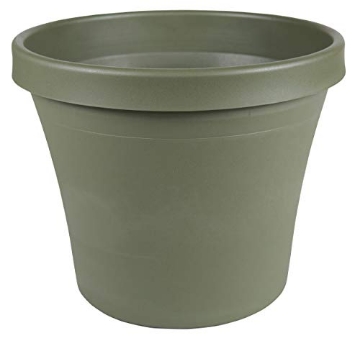 Picture of Bloem, Lcc. 20-50408 Bloem Terra Pot Planter 8" Living Green (EA)