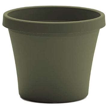 Picture of Bloem, Lcc. 50416 Bloem Terra 16" Diameter Round Living Green Resin Planter Pot with Pre-Drilled Drainage Holes for Indoor and Outdoor Gardening, Made in USA (EA)