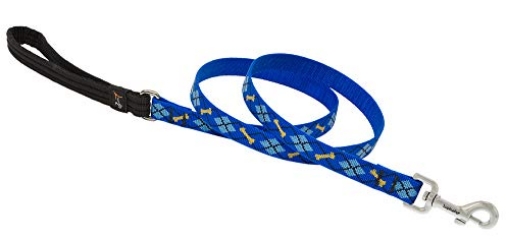 Picture of Lupine Collars & Leads 41809 Lupinepet Originals 3/4" Dapper Dog 6-Foot Padded Handle Leash for Medium and Larger Dogs (EA)
