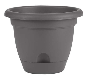 Picture of Bloem, Lcc. LP08908 Bloem LP08908 Lucca Self Watering Planter w/Saucer 8", Charcoal Gray (EA)
