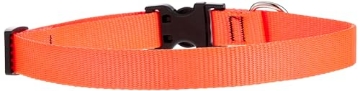 Picture of Lupine Collars & Leads 52502 LupinePet Basics 3/4" Blaze Orange 13-22" Adjustable Collar for Medium and Larger Dogs (EA)