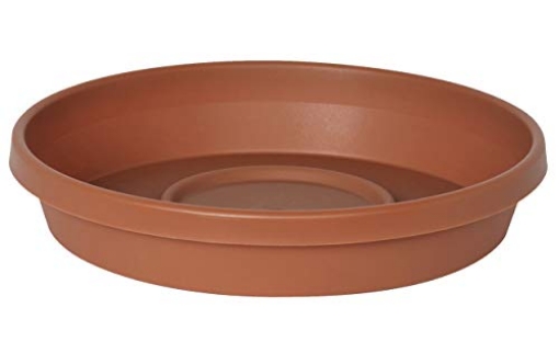 Picture of Bloem, Lcc. 20-51010C Bloem Terratray 1.7 in. H x 5.3 in. Dia. Resin Traditional Terracotta Clay Tray (EA)