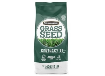 Picture of PENNINGTON 100516051 Pennington Seed 100516051 7-Lb. Kentucky 31 Grass Seed - Quantity 1 (EA)