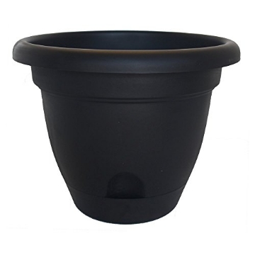 Picture of Bloem, Lcc. LP1000 PLANTER LUCCA BLACK 11" (EA)