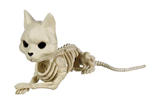 Picture of SEASONS USA W82196 Crazy Bonez Cute Skeleton Cat (EA)