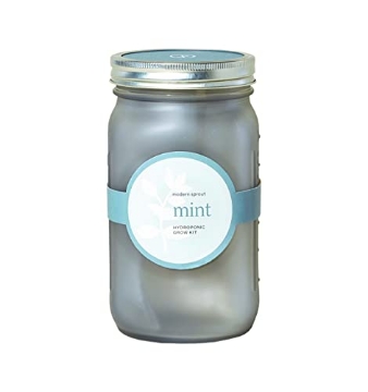 Picture of MODERN SPROUT LLC MS-GJ-1021 Modern Sprout Glass Jar Grow Set, Indoor Herb Garden, Seed Starter Set, Organic, Non-GMO, Mint (EA)
