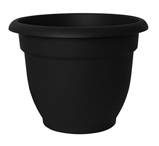 Picture of Bloem, Lcc. 20-56406 Bloem Ariana 6 Inch Self-Watering Planter, Green (EA)