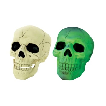Picture of SEASONS USA W80635 Crazy Bonez Seasons (HK) Ltd. Glow in The Dark Skull Prop Standard (PK-6-EA)