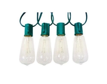 Picture of Celebrations 10010-71 Celebrations Edison Style Replacement Bulbs 7 W Clear,10 Pack (EA)
