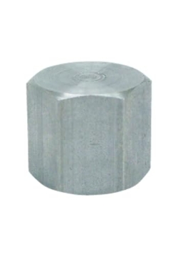 Picture of ANVIL INTERNATIONAL 8700132502 Anvil 8700132502, Steel Pipe Fitting, Cap, 1/8" NPT Female, Galvanized Finish (EA)