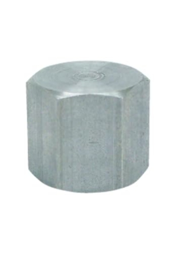 Picture of ANVIL INTERNATIONAL 8700132502 Anvil 8700132502, Steel Pipe Fitting, Cap, 1/8" NPT Female, Galvanized Finish (EA)