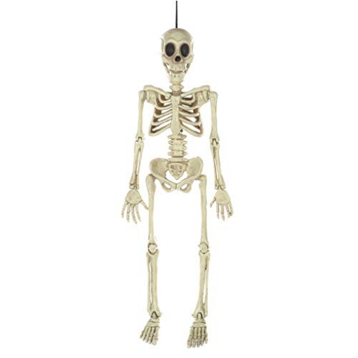 Picture of SEASONS USA W81860 Seasons Funny Bones Skeleton Halloween Decor (EA)