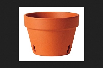 Picture of Marshall Electronics, Inc 76130PZ Deroma TC Orchid Pot 5.1" (PK-24-EA)
