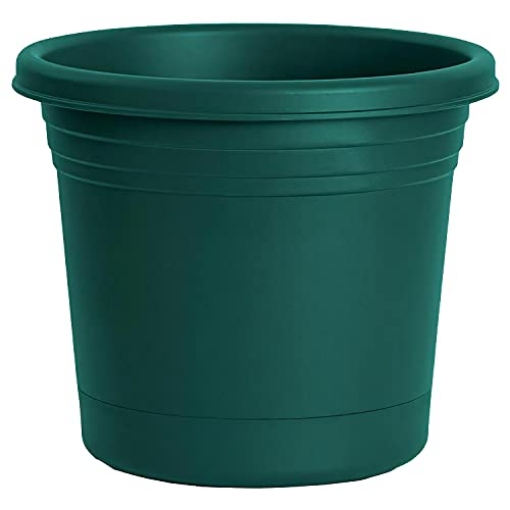 Picture of RUGG MANUFACTURING CORP AR12-FG Rugg Round Rolled Rim Planter, UV Resistant Polyresin Pot, 12" (Forest Green) (EA)