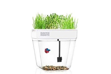 Picture of BACK TO THE ROOTS INC 32000 Back to the Roots Organic Water Garden, 1 EA (EA)