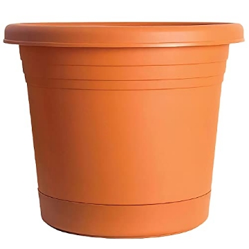 Picture of RUGG MANUFACTURING CORP AR8-TC Rugg Round Rolled Rim Planter, UV Resistant Polyresin Pot, 8” (Terra Cotta) (EA)