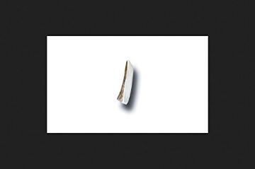 Picture of Buckeybites LS1005 Bucky Bites Antler Dog Chew Medium (EA)