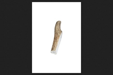 Picture of Buckeybites LS1002 Buckybites Antler Dog Treat Chews Medium Antler Stick (EA)