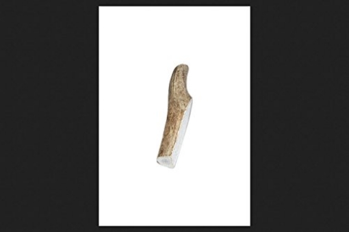 Picture of Buckeybites LS1002 Buckybites Antler Dog Treat Chews Medium Antler Stick (EA)