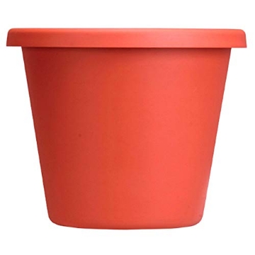 Picture of Bloem, Lcc. 50016C Bloem Terrapot 14.2 in. H x 16 in. Dia. Resin Traditional Terracotta Clay Planter (EA)