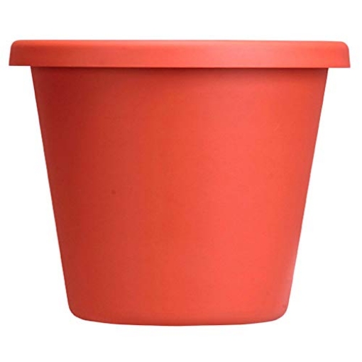 Picture of Bloem, Lcc. 50016C Bloem Terrapot 14.2 in. H x 16 in. Dia. Resin Traditional Terracotta Clay Planter (EA)
