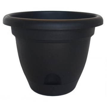 Picture of Bloem, Lcc. LP0800 Bloem Lucca Round Pot Planter Size: 7" H x 8.7" W x 8.7" D (EA)
