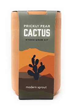 Picture of MODERN SPROUT LLC MS-TE-1001 Modern Sprout Prickly Pear Cactus Terracotta Grow Kit, 1 EA (EA)