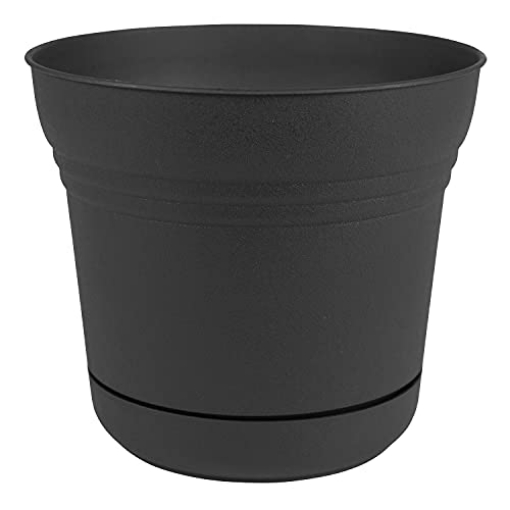 Picture of Bloem, Lcc. SP0500 Bloem 010280 Saturn Planter with Saucer, 5", Black (SP0500), 5" (EA)