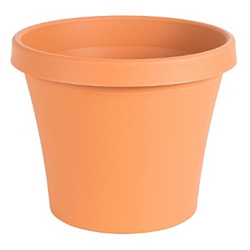 Picture of Bloem, Lcc. 50008C Bloem Terrapot 7 in. H x 8 in. Dia. Resin Traditional Terracotta Clay Planter (EA)