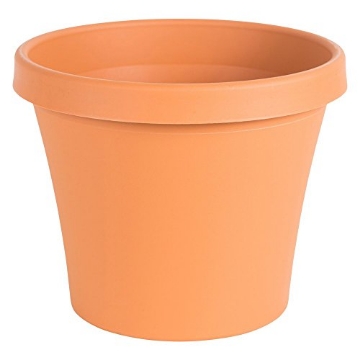 Picture of Bloem, Lcc. 50024C Bloem Terra Plastic Round Pot Planter (EA)