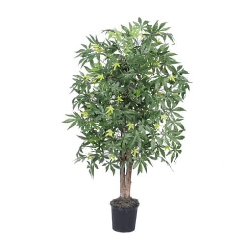 Picture of Vickerman TBU1840-06 Vickerman TBU1840-06 Japanese Maple Bush, Green, 4' (EA)