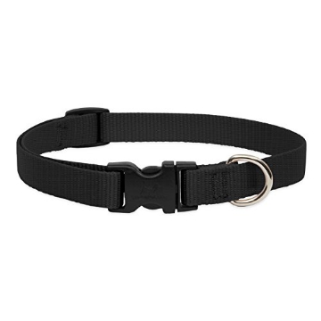 Picture of Lupine Collars & Leads 27501 LupinePet Basics 3/4" Black 9-14" Adjustable Collar for Small Dogs (EA)