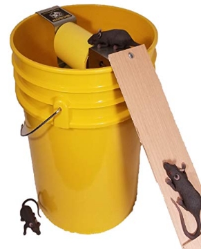 Picture of DROP IN THE BUCKET INC DITBMT001 Drop in The Bucket Multiple Catch Animal Trap for Rodents Squirrel 1 pk (EA)